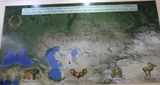 Scythians and Sarmatians