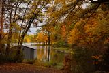 AUTUMN AT THE LAKE