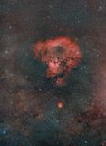 A Question Mark or Monkey Skull: NGC 7822, BD+66 1673 and SH2-170
