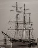 20250418-DSC_3711.jpg