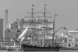 20250424-DSC_3985.jpg