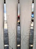19 june IMG_2331.jpeg
