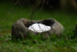 22 may DSC00501a.jpg