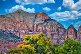 Zion Valley 