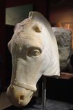Istanbul Archaeology Museum Horses head 2nd half  5th C BCE 3605.jpg