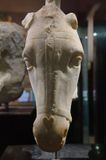 Istanbul Archaeology Museum Horses head 2nd half  5th C BCE 3606.jpg