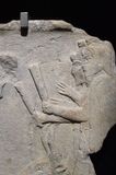 Istanbul Archaeology Museum Ritual Museum sacrifice Late 5th C BCE Dascyleum 3601.jpg