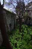 Istanbul Sokollu Mehmet Pasha mosque graveyard to its side 3862.jpg