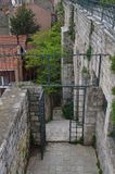 Istanbul sultanselim camii bahçesi 4259.jpg