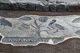 Urfa Haleplibahe Mosaic Museum Achiilles mosaic border 2024 7423.jpg