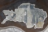 Urfa Haleplibahe Mosaic Museum Achilles mosaic maybe the prophecy 2024 7414.jpg