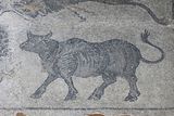Urfa Haleplibahe Mosaic Museum Harran Gate mosaic 2024 7433.jpg
