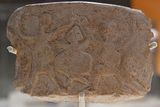 Urfa museum Fragment of stone vessel Nevalı ori - Neolithic age in 2024 7336.jpg