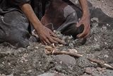 Urfa museum Man and tent Neolithic age in 2024 7292.jpg