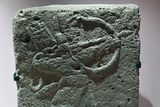 Urfa museum Iron Age in 2024 7506.jpg