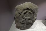 Urfa museum Sin temple votive stele from Şanlıurfa-Siverek Iron Age in 2024 0401.jpg
