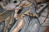 Gaziantep Zeugma Museum Achilles mosaic in 2024 7899.jpg