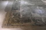 Gaziantep Zeugma museum Maybe Akdeğirmen mosaic in 2024 7914.jpg