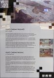 Gaziantep Zeugma Museum Aşağı ardak mosaic in 2024 7924.jpg