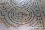 Gaziantep Zeugma Museum Aşağı ardak mosaic in 2024 7927.jpg