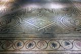 Gaziantep Zeugma Museum Aşağı ardak mosaic in 2024 7929.jpg