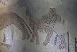 Gaziantep Zeugma Museum Ikizkuyu mosaic in 2024 7932.jpg