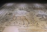Gaziantep Zeugma Mosaic Museum Kolu mosaic in 2024 7958.jpg