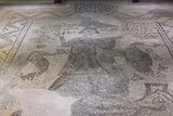 Gaziantep Zeugma Museum Man with peacock mosaic in 2024 7943.jpg