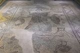Gaziantep Zeugma Museum Man with peacock mosaic in 2024 7944.jpg
