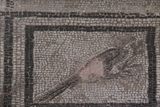 Gaziantep Zeugma Museum Eros mosaic in 2024 7881.jpg