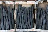Gaziantep Charcoal in 2024 8042.jpg