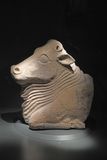 Kayseri Archaeology Museum Head of a bull  Hellenistic period 330 BC - 30 AD in 2024 8341.jpg