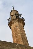 Mardin Minaret of Reyhaniye Mosque in 2025 8999.jpg
