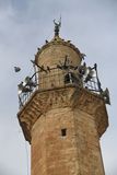 Mardin Minaret of Reyhaniye Mosque in 2025 9000.jpg