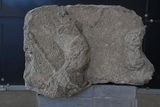 Gaziantep Zeugma Museum Relief piece, Roman Period, Limestone in 2025 9405.jpg