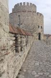 Yedikule North tower from west in 2006 3410