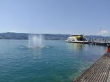 IMG_20230711_132513.jpg