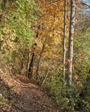 White River Trail.jpg