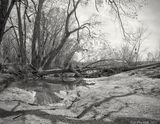 Flooding Aftermath
