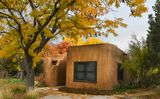 Autumn Color, Corrales, NM