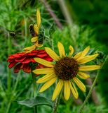 Remembering Septembers Garden