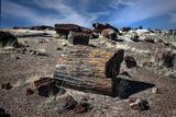 Petrified Forest, Arizona