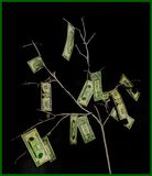 A Money Tree for the Teacher