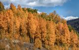 Near Chama, NM
