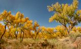 Jemez Springs