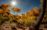 Jemez Springs