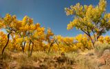 Jemez Springs