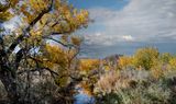 Jemez Springs