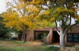 Autumn Color, Corrales, NM