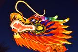 Chinese Dragon